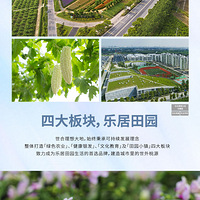 ��˫ʮһ���ϸж��������114-146�O���� ���� �� ��ӭƷ��