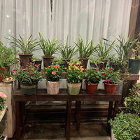 ˽�˶��ƻ��軨�ܣ�������������ߴ�