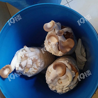 ��ͨ�ϰ��յ�һ��