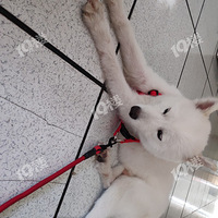 ˭�ҵ�Ư����Ħ�߶��ˣ����˿������ߣ�