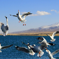 �����ຣ��