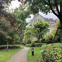 2019���Ʊ�������Խ�����𾪣����Ʊ�������Խ������ô����?