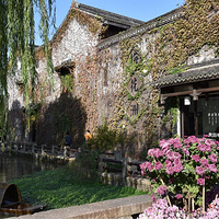 ȥ÷����  �ղ�һ������ʱ��