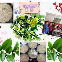 ����������������֮��Բ��ů����