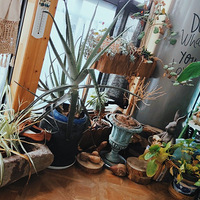 ������װ�α���Ҵ���������̨�о���+��������¶ȣ���԰��̨