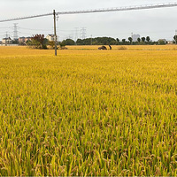 �������������һ��