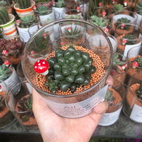 �ϰ�ʱ��������˿���߹