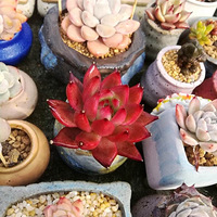 ������װ�α���Ҵ���������̨�о���+�������ҵ���