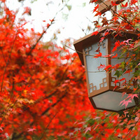 ��Ϫʮ�˽���ɽ����ʤ����