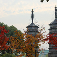 һƬƬ���ɫ���л�