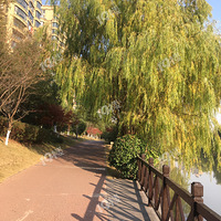 �Ҹ��޴�����