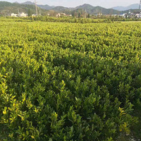 ��ӭ�ϰ�������ѯ