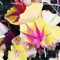 ���������������