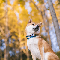 ��������·�ȳ��¼