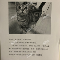 �鷳��æ�Ҹ�è����л������
