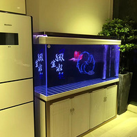 ���������ǵ���