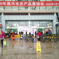 ��Ҫ�����������