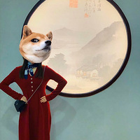 ���ҵ����¡�ϲ���Լ����������Ů��