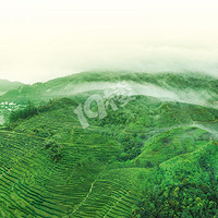 һ���Ͻ���裬�Ҹ�����ů���