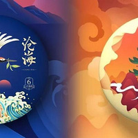 2020����й۲죺����ı��������֣�