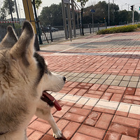 ���˱��ع�ʿ��������