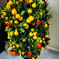 ������װ�α���Ҵ�����������װ�硱+������ɰ�