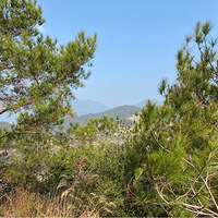 �������ʯ��ɽ