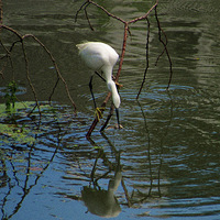 ����һ˲��