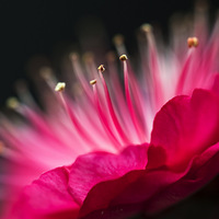 սʤ���� ӭ�Ӵ��졣����