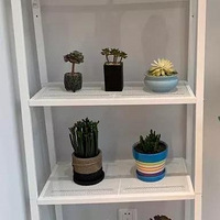 ������װ�α���Ҵ���������ʽլ�ҡ���ɫϵ�ı�ŷ�Ұ���