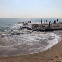 ���ֻ�������ա�ϲ����