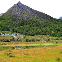 �������У�����