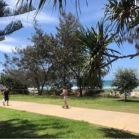 ��Խ������ �ϰ��������