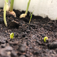 �������ҵ�С�����