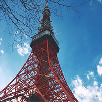 ����ӼҸ���������� ���ŷ���һЩ�����ĵ�