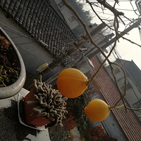 ������լ���㡿��Ůլ���㣬�������֣�û��û��