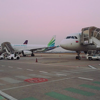 �����һ��