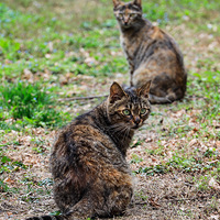 ������Ȼһֱ���ˣ���ȴ�����������ɰ��ľ��飬û��֮һ��