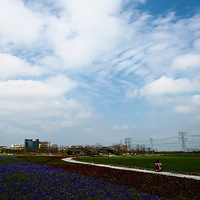 �����������������������ٻ���