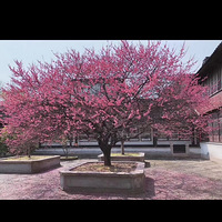 ˵�߾��ߵ�������