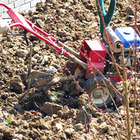 �����ַ�������