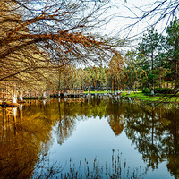 С��֪ʱ�ڣ������˷��������ǿ�ʼ�߳����ţ�������Ȼ