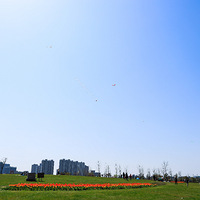 �߼�������������......�������ĵģ�����������......