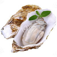 ���ڿ�����ʳ��