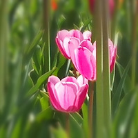 ��Ư���������㡣