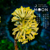 С�۷����æ