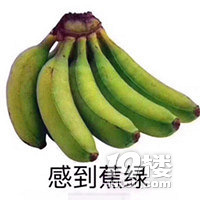 2020����˽���׶�԰������Ϣ���ܣ����ϸ��£�