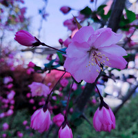 ÿһ��ʢ���Ļ����������ϱ任�޼ʵ�����