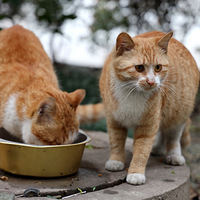 ���ٸ絽��̸���ۼ޵�����ˣ�������ϱ�����Է���