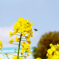 �������ĵ�����